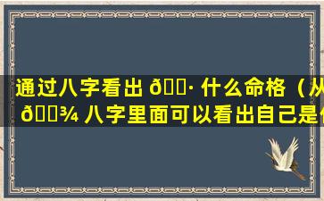 通过八字看出 🌷 什么命格（从 🌾 八字里面可以看出自己是什么命）